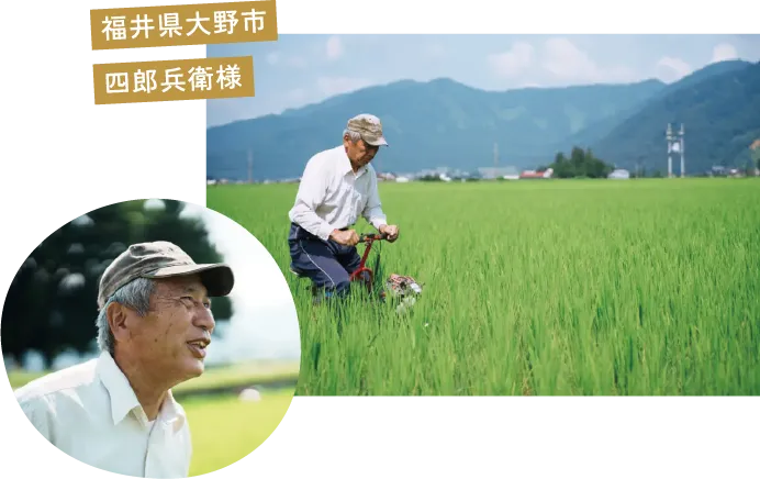 福井県大野市 四郎兵衛様